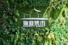 線上線下“花”式助農！橫琴人買年花看這里！