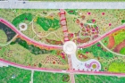 春節必去！8000m2勒杜鵑園、17000m2油菜花田……就在橫琴！