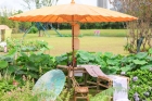 橫琴荷花節(jié)開(kāi)幕！大橫琴城資展園“荷”你共赴仲夏之約！