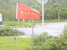 風雨中的紅色守護！大橫琴城資黨員奮戰在抗臺搶險一線